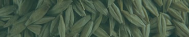 What is the difference between anhydrous ethanol and extra neutral alcohol?