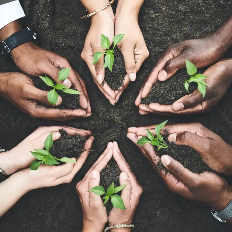 EcoVadis-Sustainability