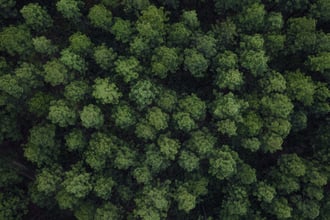 L'éthanol peut-il être durable ?