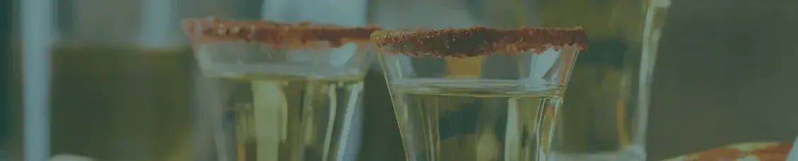 Website banners mezcal