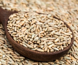 Die Wahl des richtigen Getreides für Ihre Ethanolprodukte