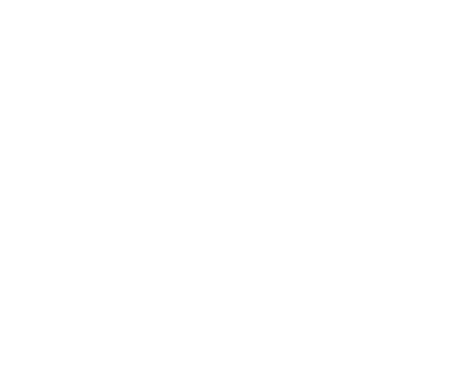 nedstar-coffee-bg-1-white-mirrored kopie