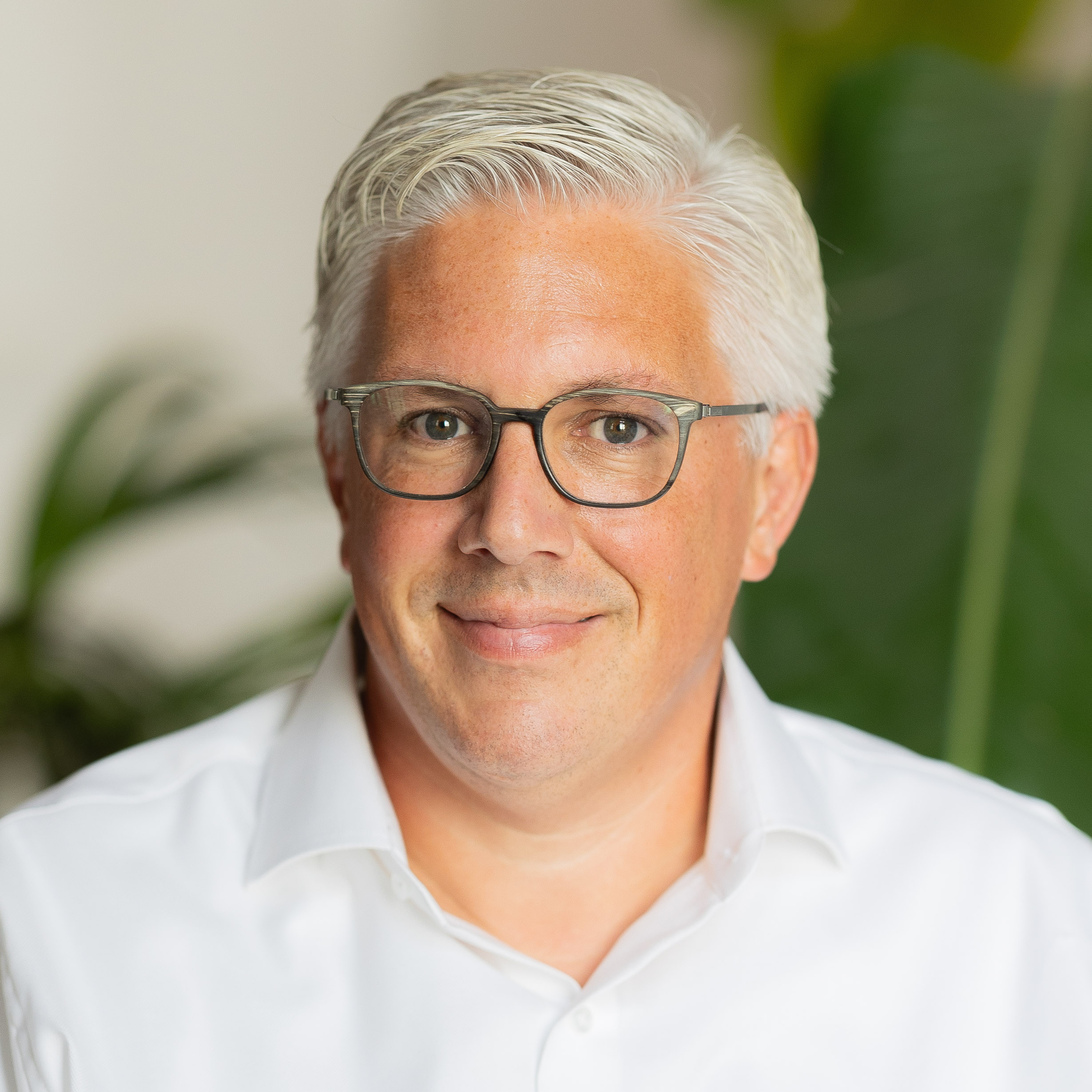 Allard-Visser-Nedstar