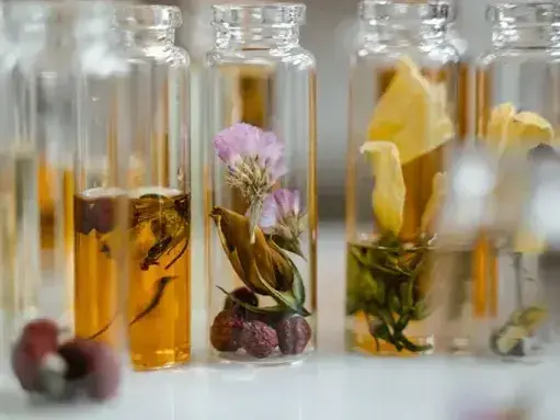 Botanical_extracts_Nedstar