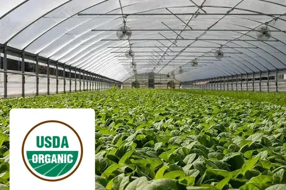 Nedstar-certifications-USDA-organic