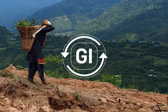 Persona llevando una cesta de plantones en una ladera con el logotipo de Inteligencia Verde (IG) superpuesto.