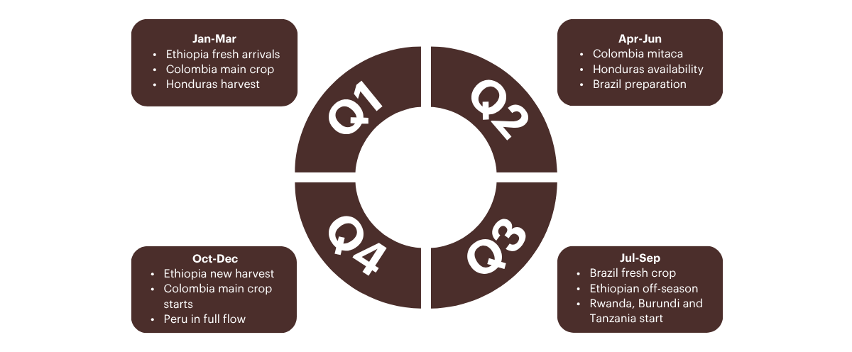 Disponibilidad estacional del calendario del café