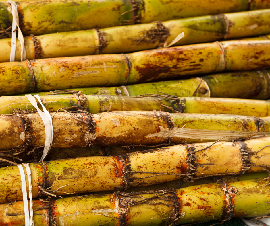 Raw materials sugarcane