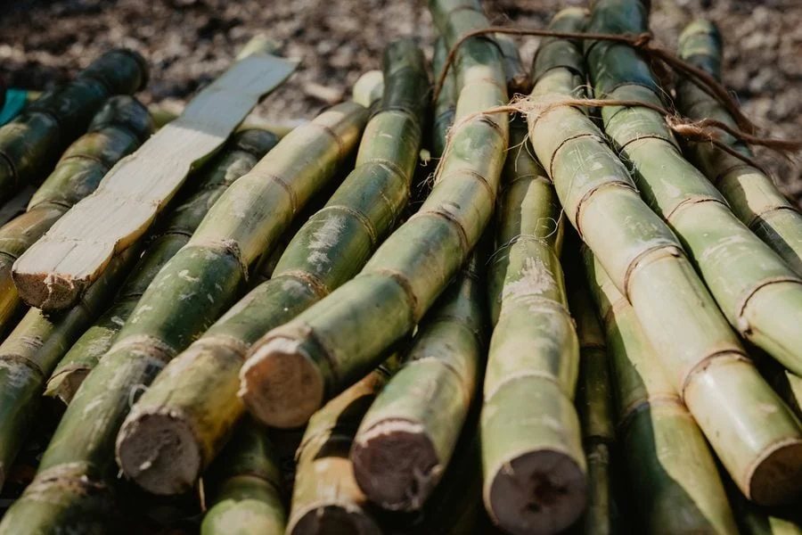 nedstar-sugarcane-alcohol-credits-victoria-priessnitz