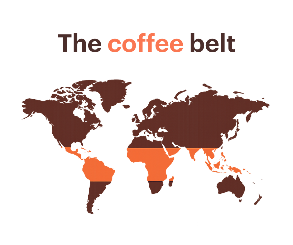 Nedstar el cinturón de café