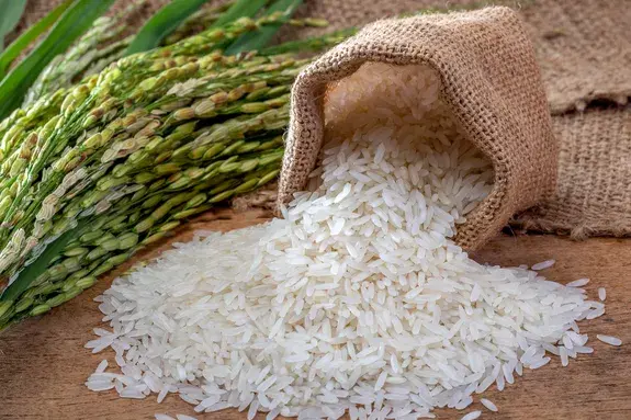 Rice-alcohol-nedstar