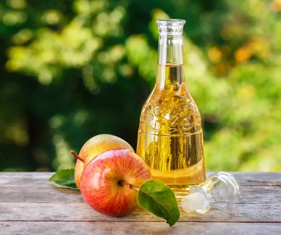 apple-cider-nedstar