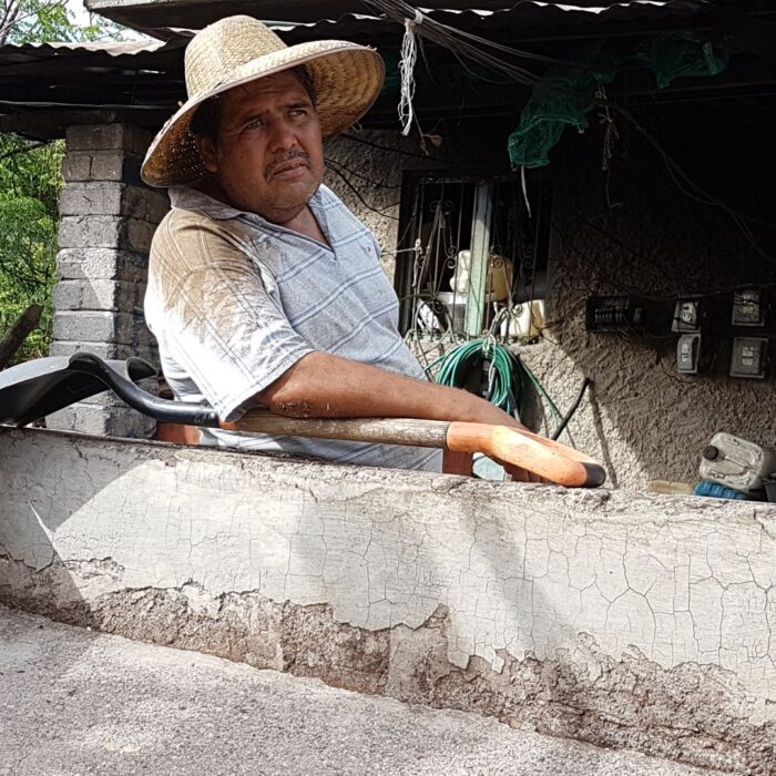 nedstar-café-guatemala