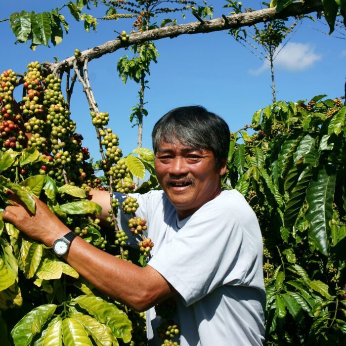 nedstar-café-vietnam
